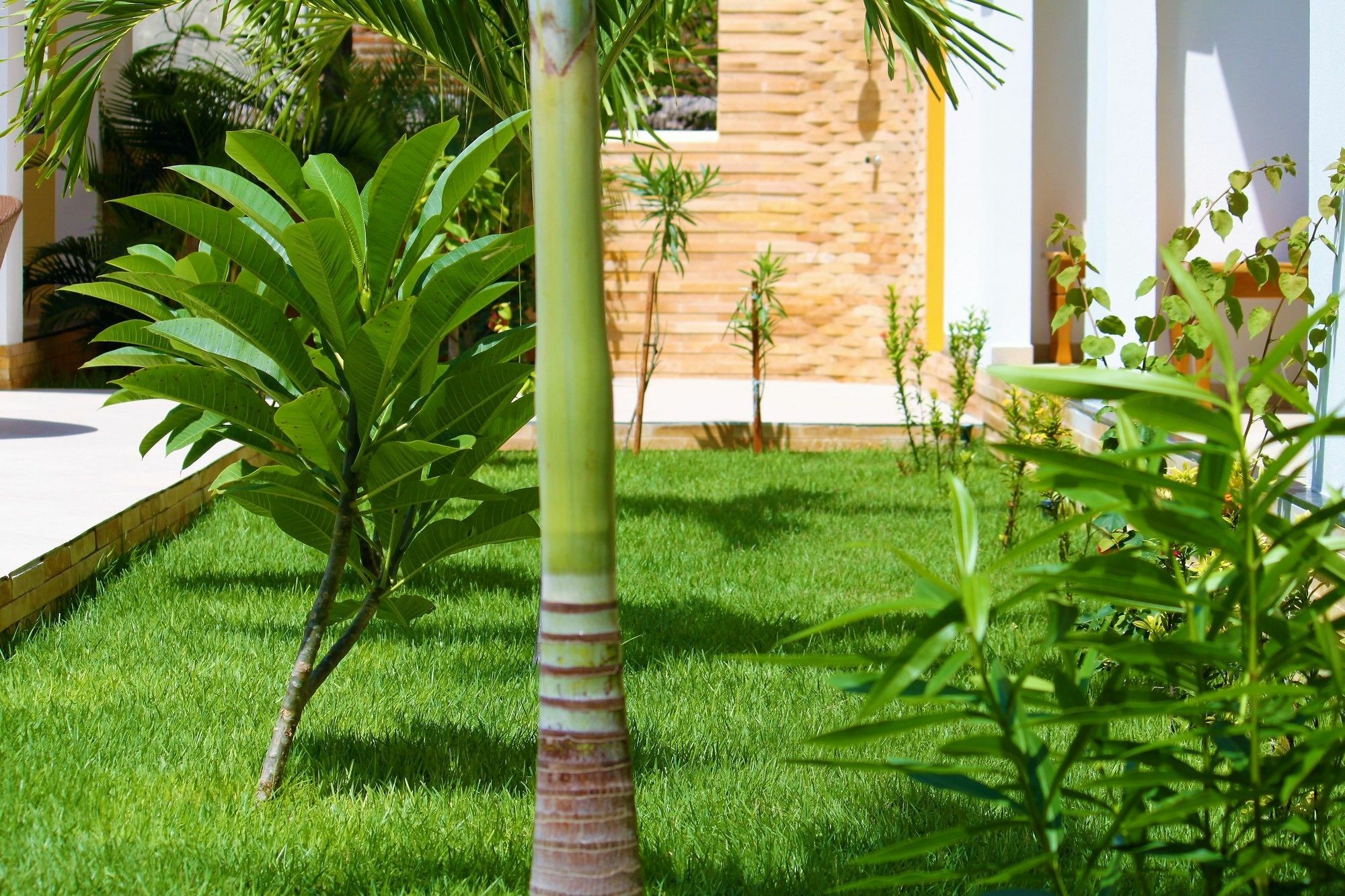 Hotel Villa Beija Flor Jijoca de Jericoacoara Kültér fotó